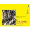 Canson Newsprint Rough Surface (45.7X61Cm) - 100Sheet