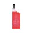 Rotring Drawing Ink Refill Bottle Red 23Ml Set 2Pc