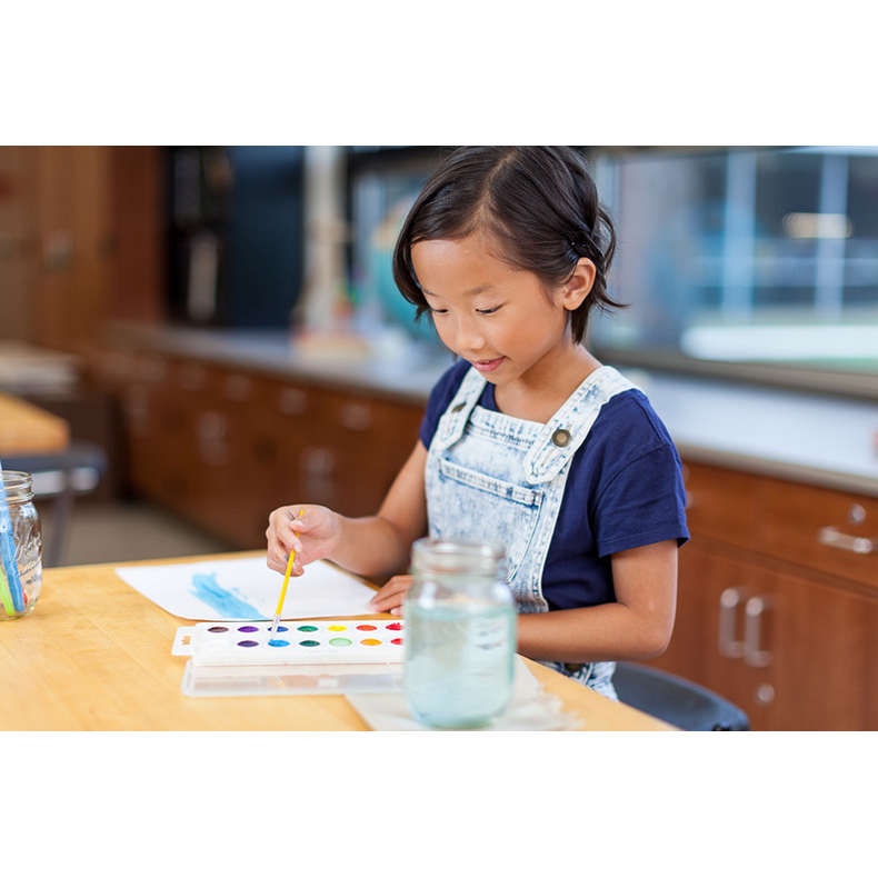 Crayola 16 ct Paint with Plastic Handled
