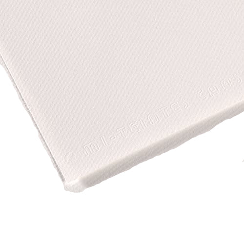 Canson Mi-Teintes Spiral Pastel Paper Pad (32 X 41Cm) 16 Sheets