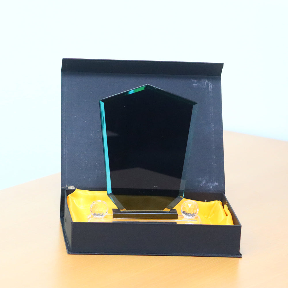 Glass Sheild 7065