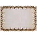 Certificate Paper - Beige/Silver