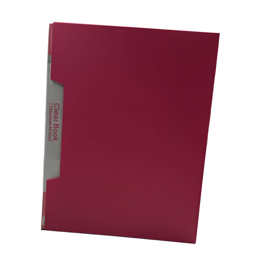 Clear Pocket File A4 80 Sheets