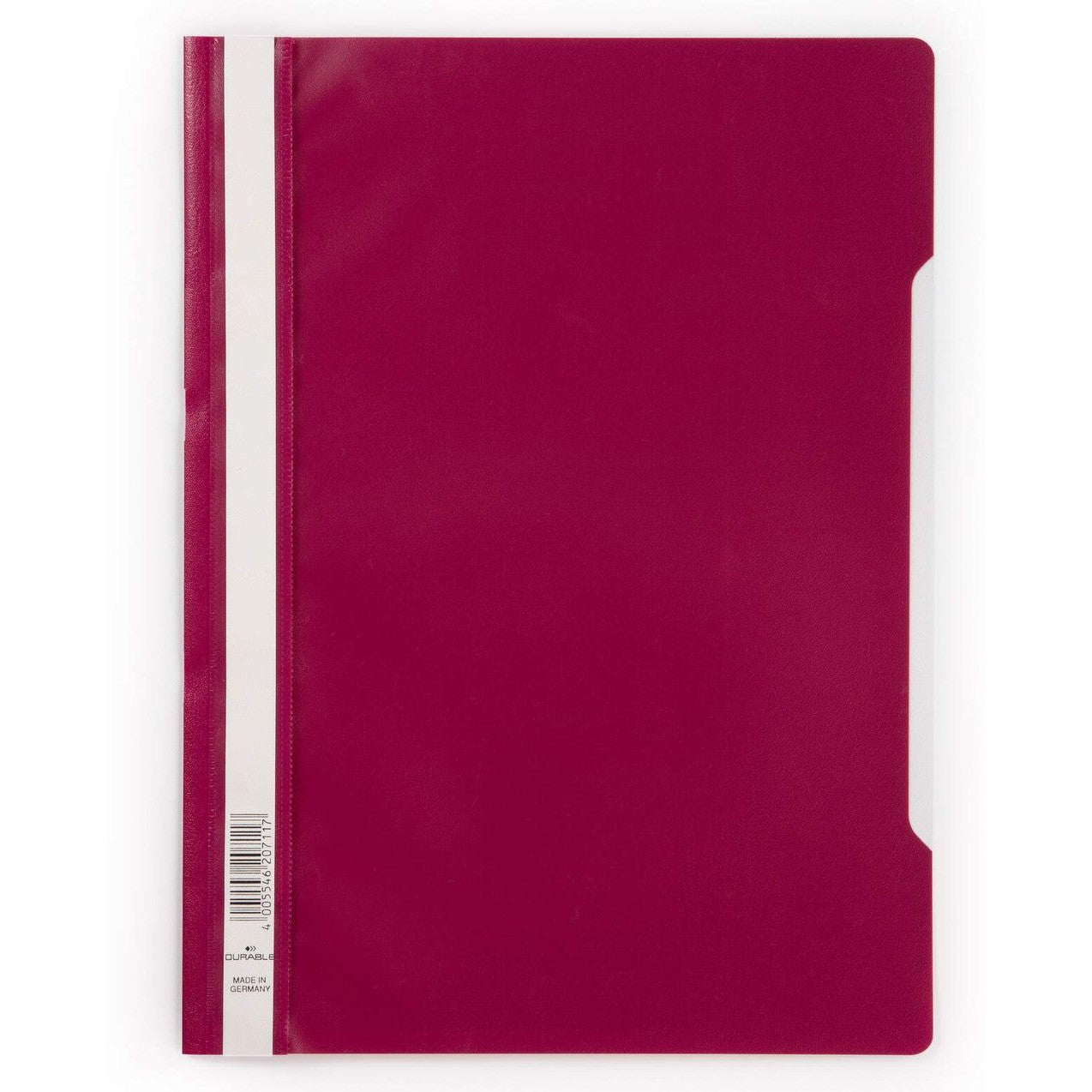 Clear View A4 Folder
