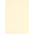 Conqueror Premium Paper 120 Gsm Beige Pack of 500