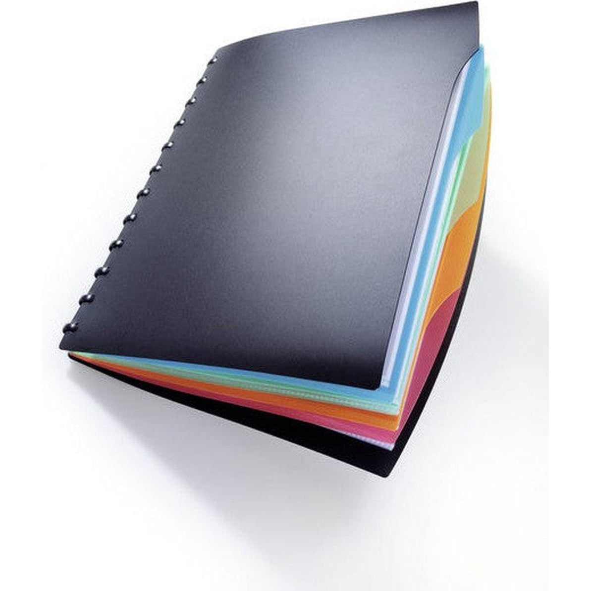 Durable Duralook Style Display Book With 4 Part Index 2435