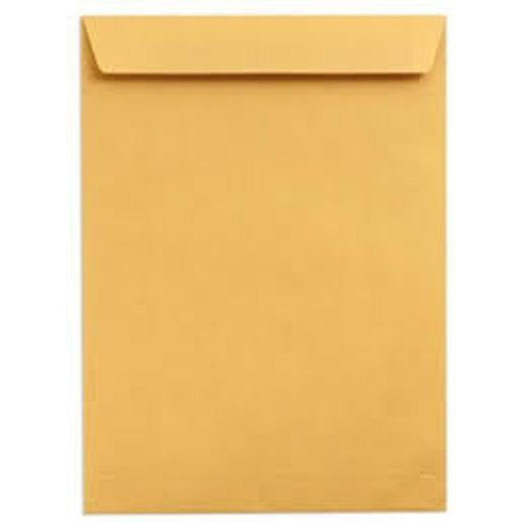 Envelope Fs 10X15  Brown Or White Sinarline Pack Of 50