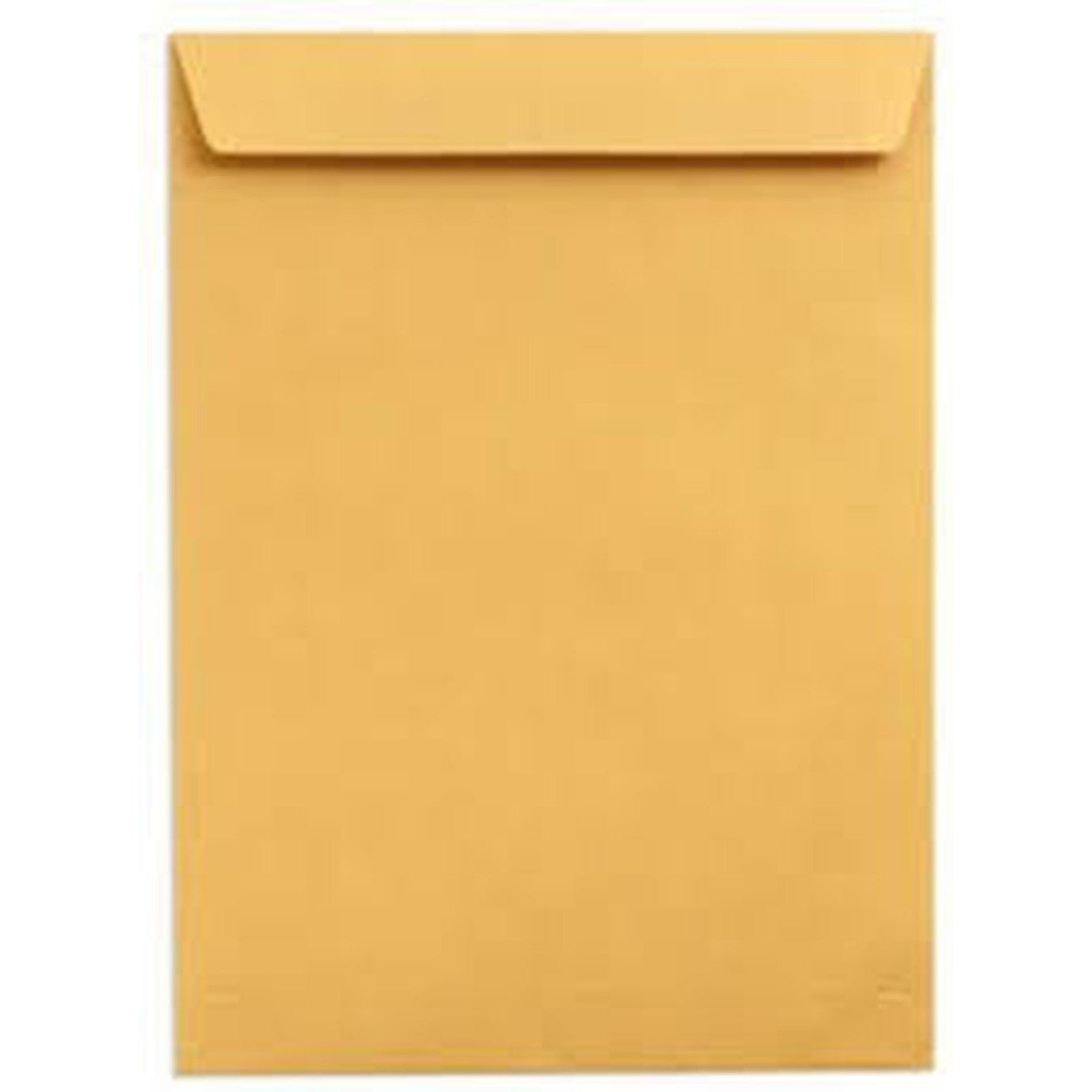 Envelope Fs 10X15  Brown Or White Sinarline Pack Of 50