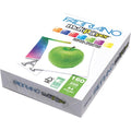 Fabriano Multi Purpose Uncoated A4 Size Paper 160 gsm/250 pages