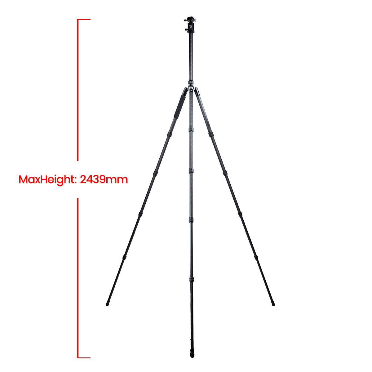 Fotopro Professional Tripod X-75C+72Q Gray