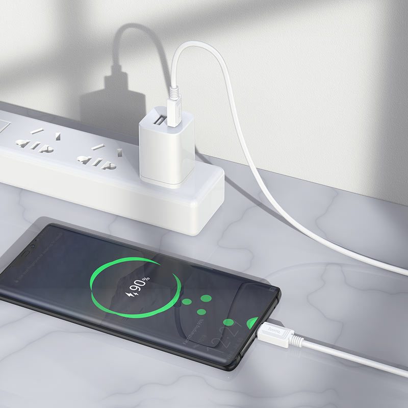 Hoco Cable Type-C to Type-C X73 60W charging data sync – White