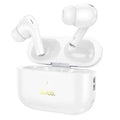 Hoco EW56 Plus ANC True Wireless Earphones