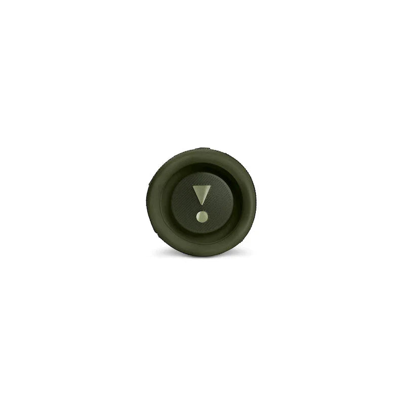 JBL Portable Speaker Flip 6 - Green