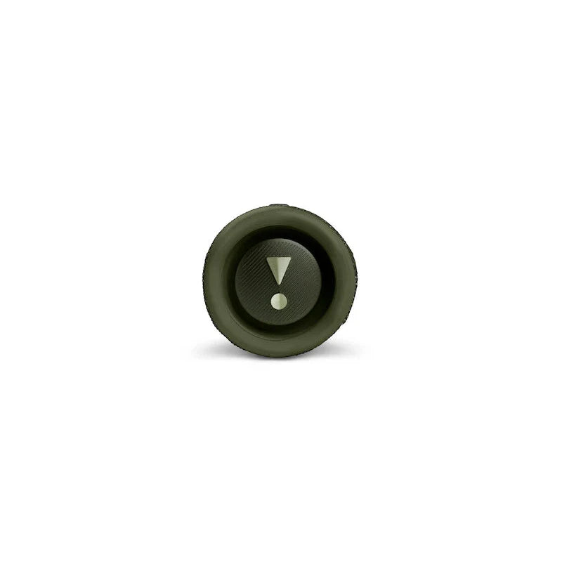 JBL Portable Speaker Flip 6 - Green
