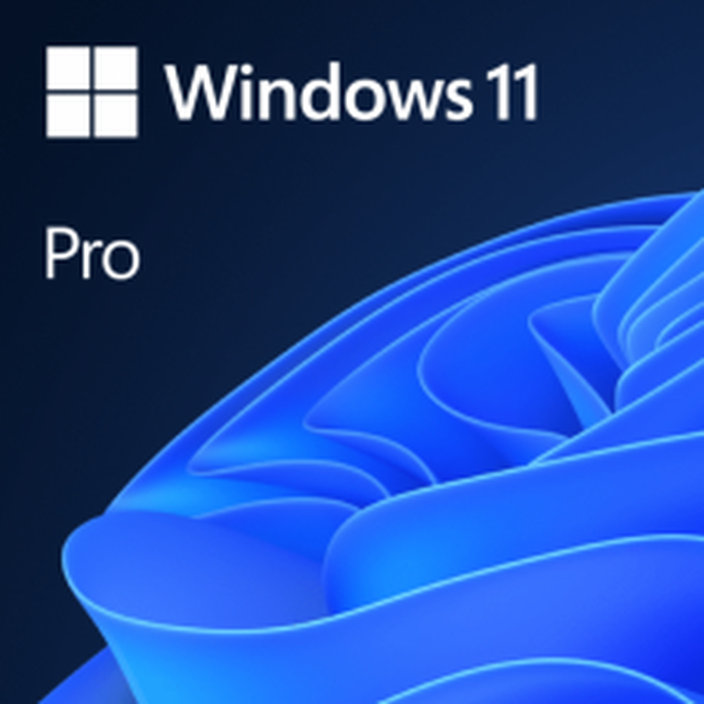 Microsoft Windows 11 Professional 64Bit (Oem) Fqc-10528