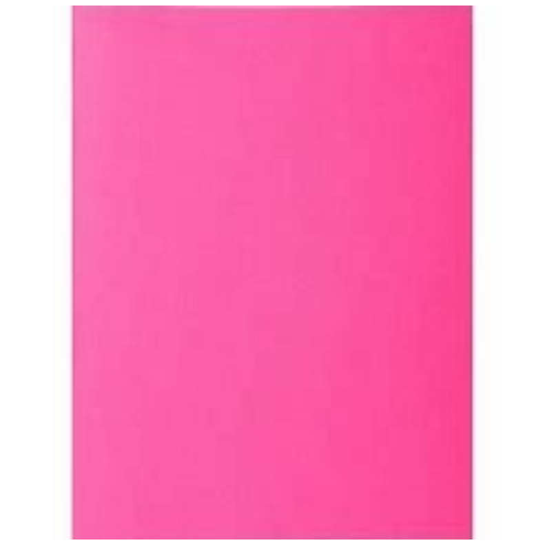 Paper File 240X355mm Pack of 50's