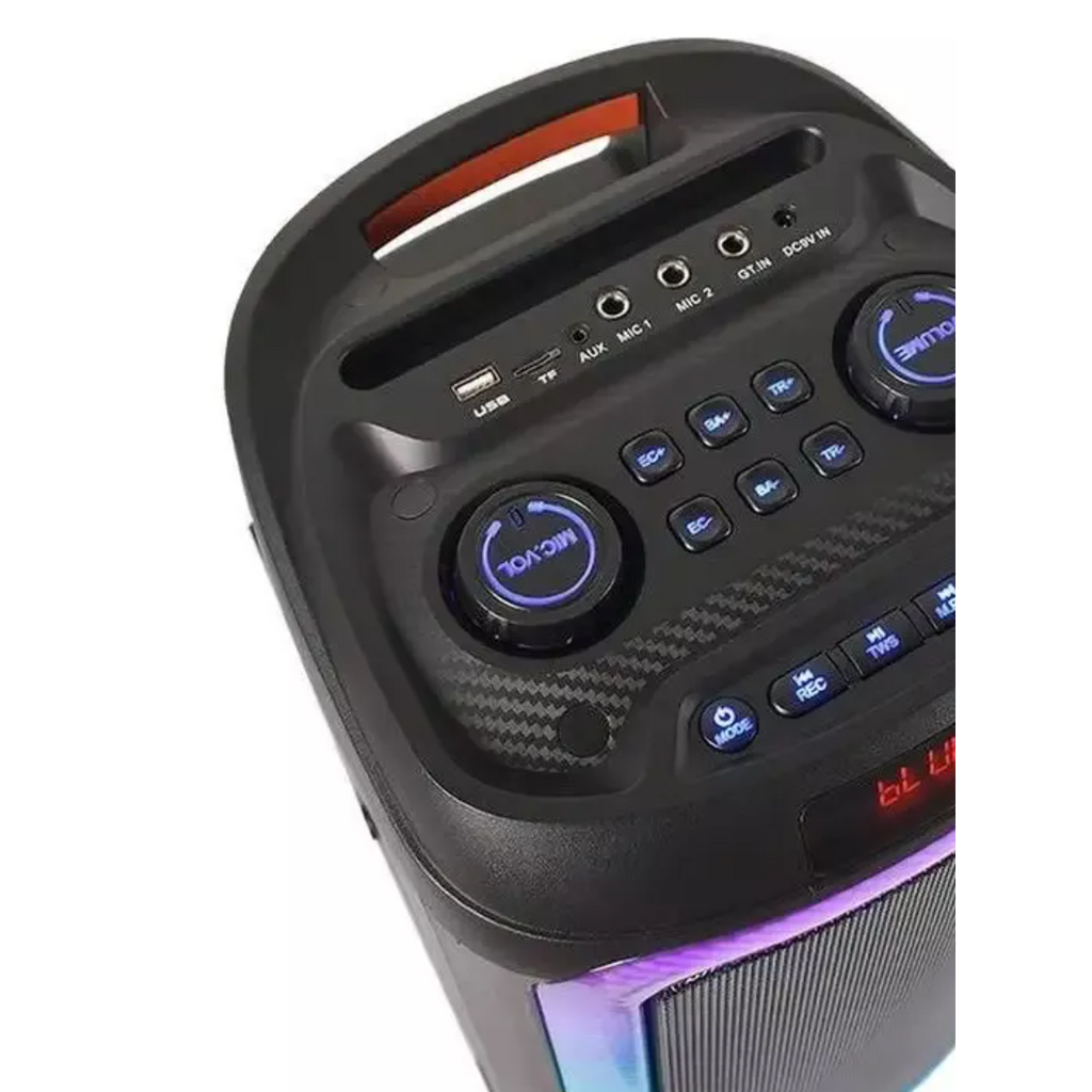 Professional Stage Speaker YB-2808