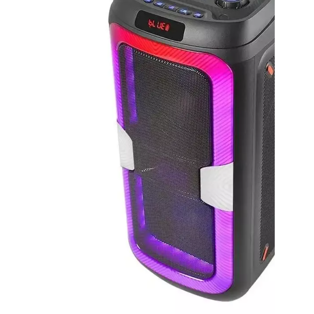 Professional Stage Speaker YB-2808