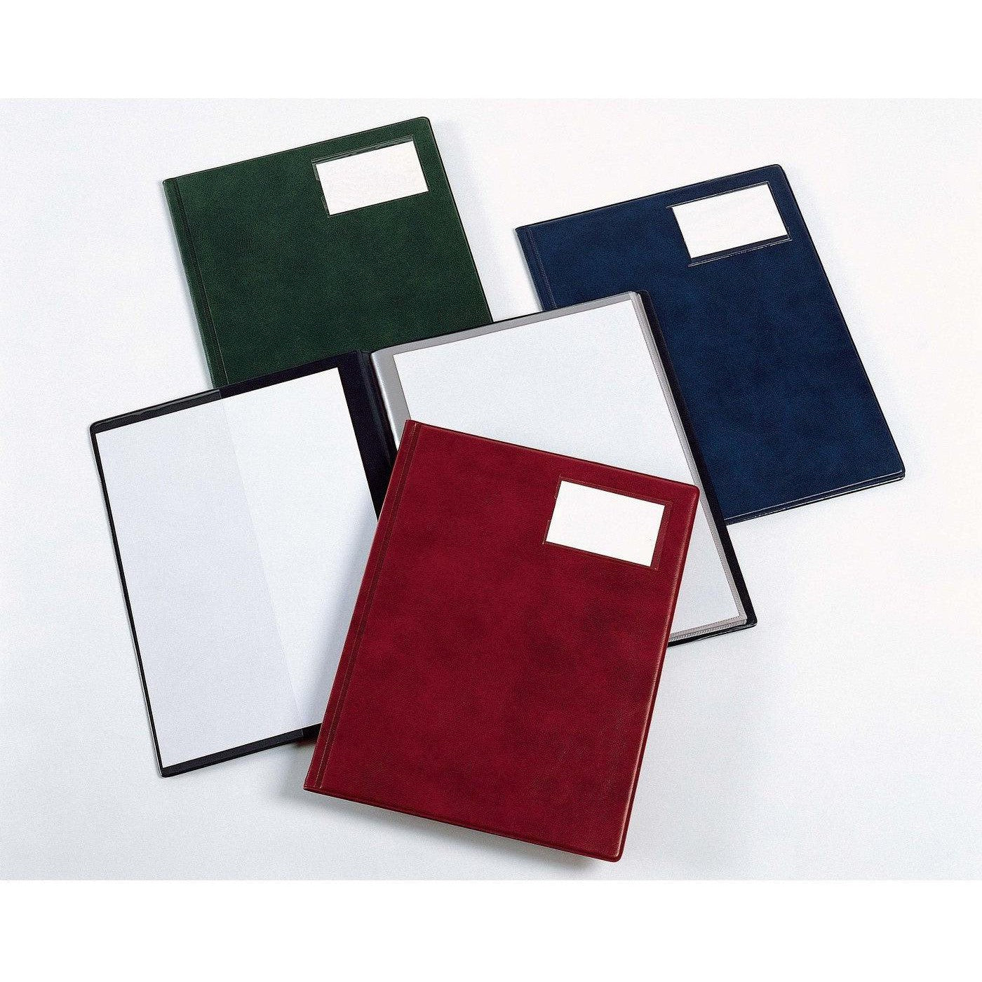Rexel Nyrex Slimview Display Book 10015