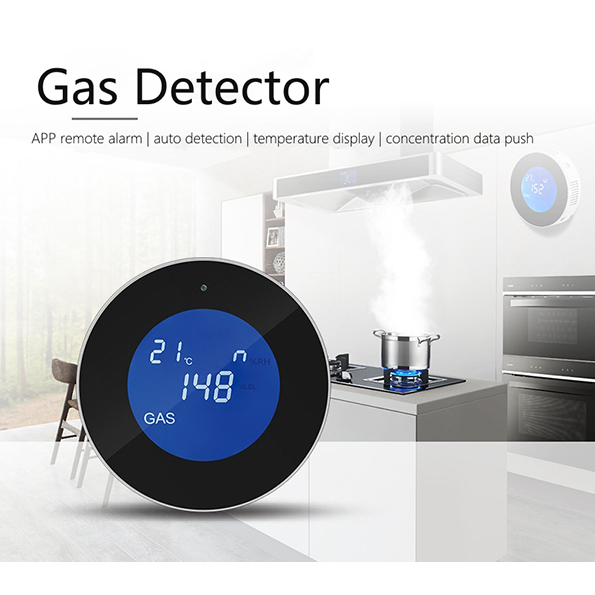 Smart Gas Detector Leak