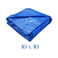 Waterproof Plastic Tarpaulin 10X10 Meter
