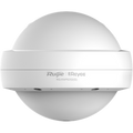 Wi-Fi 5 Ac1300 Outdoor Omni-Directional Access Point Rg-Rap6202(G)