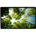 iMac 21.5-Inch 2K LCD Display Panel A1418